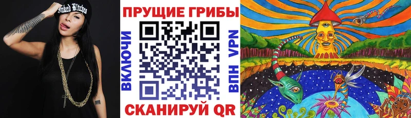купить закладку Болгар Псилоцибиновые грибы мицелий
